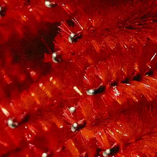 The Bombshell Lash Membership at Soluna Aesthetics + Academy in Philadelphia, PA